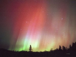 aurora1.jpg