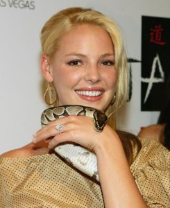 k-heigl-ering2[1].jpg