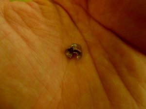 oldbezel.jpg