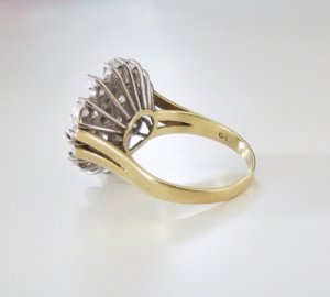 cluster_ring_0.jpg