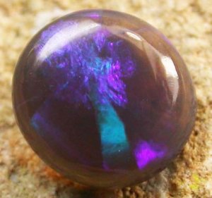 opal_black_2.jpg opal_black_2.jpg