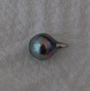 dsc_5507.jpg