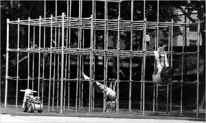 jungle_gym.jpg