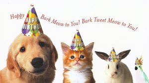 catbdaypupkittybunnyparrot.jpg