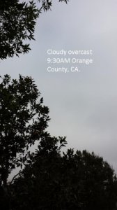 _23269.jpg