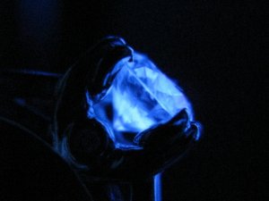 img_5824.jpg