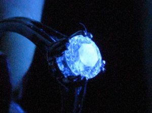 img_5825.jpg