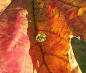 2014-10-24_1.jpg
