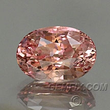 sapphire_pink_469.jpg