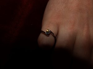 _23548.jpg