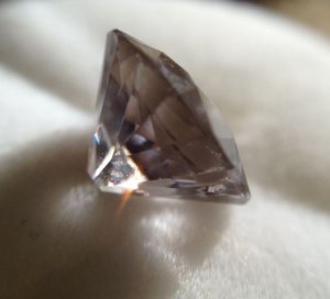 _23580.jpg