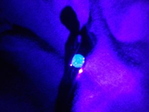 20141025_114943.jpg