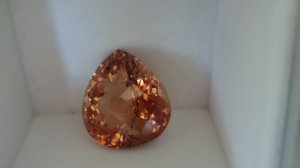 dsc_194.jpg