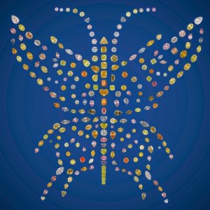 aurora_butterfly-sm.jpg