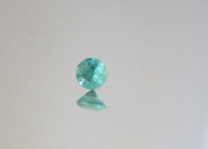 _23875.jpg
