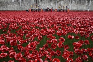 poppiesinbritain2014.jpg