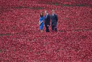 poppies-kate-willi_2997294k.jpg