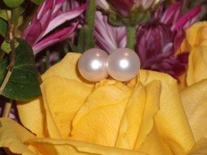 photo_959.jpg photo_959.jpg