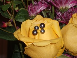 photo_989.jpg photo_989.jpg