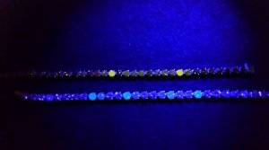 fluor-bracelet-1jpg.jpg