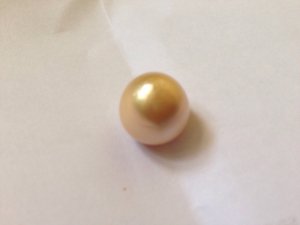 _24240.jpg
