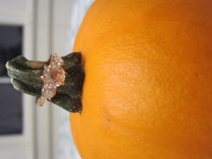 img_6049.jpg