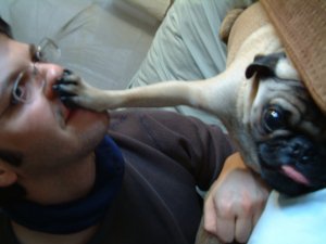 talktothepaw.jpg