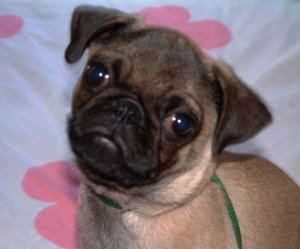 mur9week.jpg