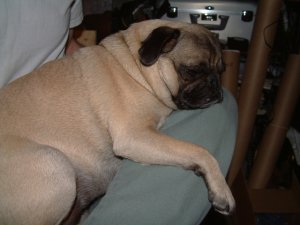 mur3yearonmylap.jpg