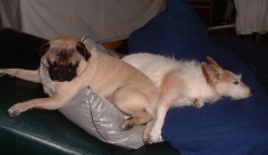 lumpypillow.jpg