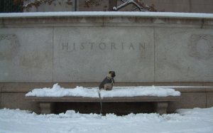 mursnohistorian.jpg