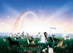 murry_rainbowbridge.jpg