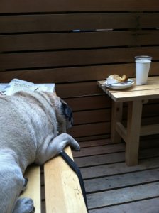 icantreachthepopover.jpg