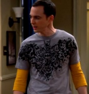 sheldon_batman_shirt_the_septum_deviation1.jpg