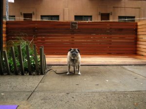 closed.jpg