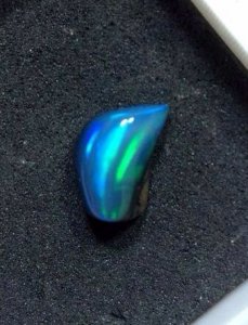 _24580.jpg
