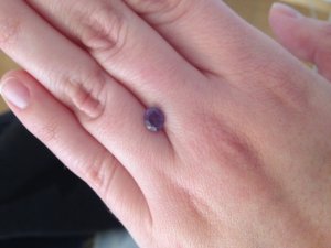 image_2_7.jpeg