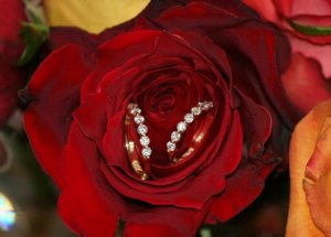 img_0926.jpg
