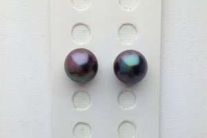 cherry_1.jpg