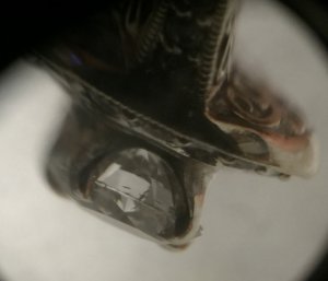 _24801.jpg