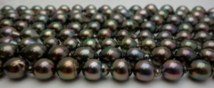 peacock-drops-horizontal-1024x424.jpg