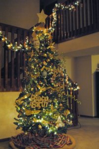 holiday2014treeatdark.jpg