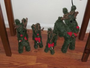 img_0732.jpg
