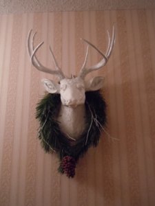 dscn4181.jpg