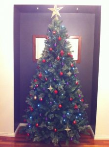 xmas_tree_2014.jpg