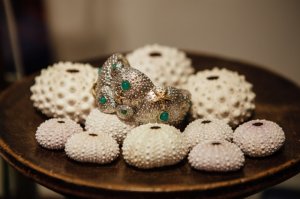 img_6333.jpg