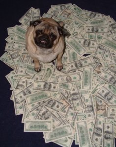 murry20kt.jpg