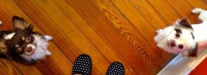 img_1769_-_version_2_copy.jpg