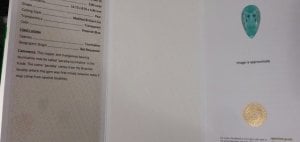 para9.jpg