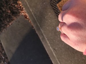 _26073.jpg